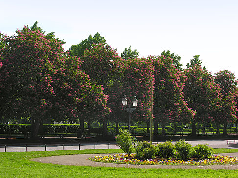 Fotos Hofgarten | München