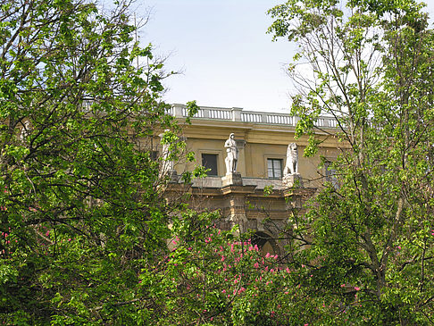 Fotos Hofgarten