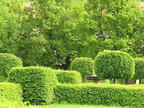 Fotos Hofgarten | München