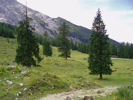 Fotos Berg