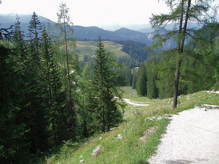 Fotos Wanderweg | 