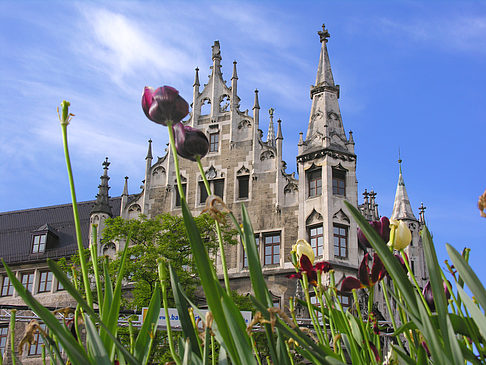 Fotos Neues Rathaus