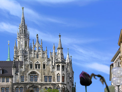 Neues Rathaus Foto 
