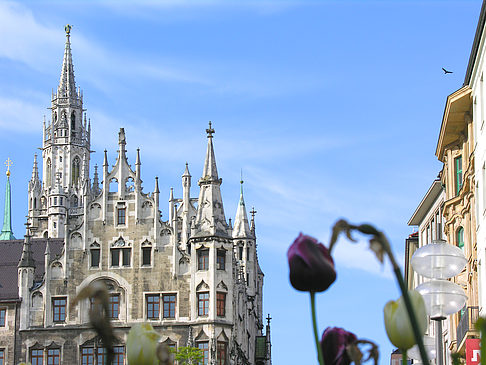 Fotos Neues Rathaus | München